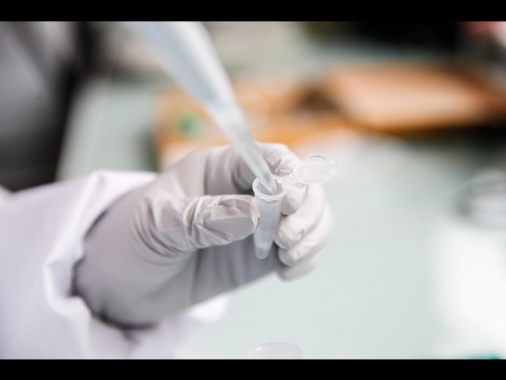 Guariti 7 bimbi con malattie autoimmuni gravi grazie alle Car-T