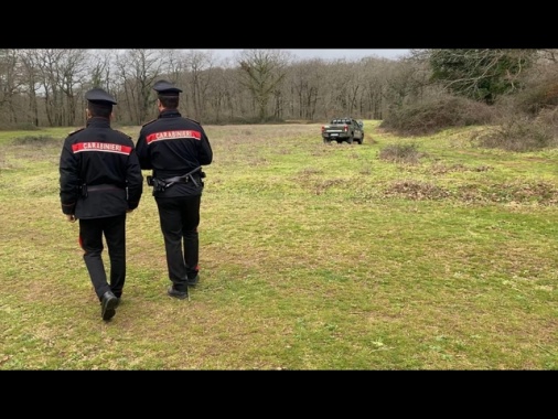 Sbranato da rottweiler, condannata coppia proprietaria dei cani