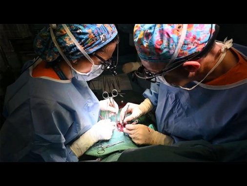 Legale famiglia bimbo trapiantato, serve un nuovo cuore entro 48 ore