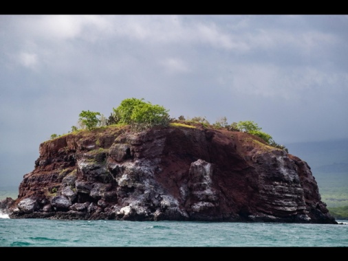 È il Darwin Day, si celebra il papà dell'evoluzione