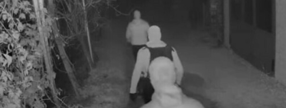 «Narcotizzati nel sonno e derubati». Avvelenato il cane