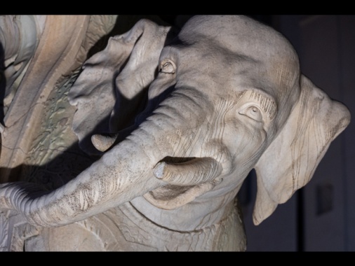 Danneggiata la statua dell'elefantino del Bernini a Roma, 'indegno sfregio'