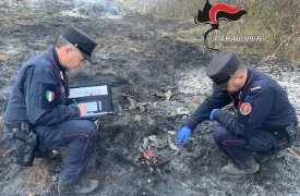 Carabinieri forestali, un anno in prima linea