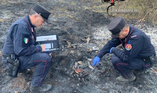 Carabinieri forestali, un anno in prima linea