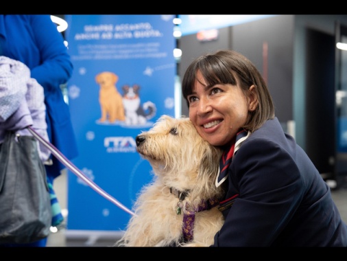 Ita Airways accoglie in cabina gli animali domestici di grossa taglia