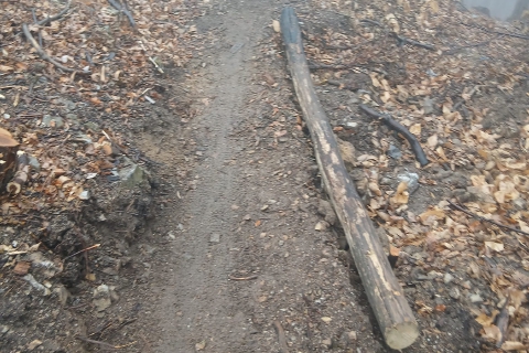 Campo dei Fiori, addio alle piste abusive per le bici