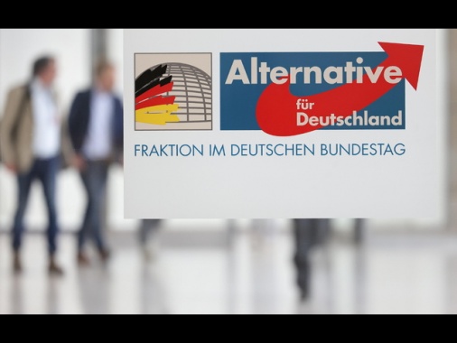 Tribunale tedesco sospende la definizione di Afd come gruppo estremista