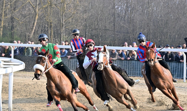 Le corse di addestramento del Palio  (foto Domenico Ghiotto)