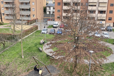 Dalle nuove case si dovranno vedere almeno tre alberi