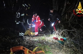Novantenne bloccata nel bosco: la salvano di notte
