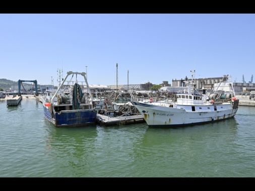 Pesca: Lollobrigida, credito di imposta al 20% sui carburanti