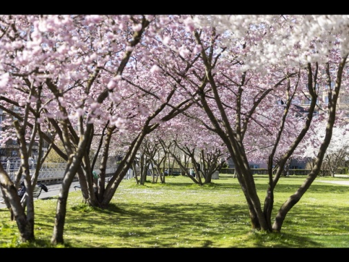 L'incontro tra Luna e Venere festeggia l'equinozio di primavera