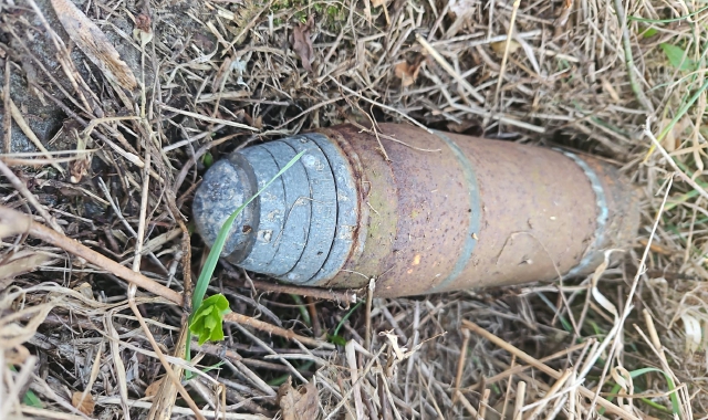 Bedero Valcuvia, nel prato 