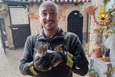 Gattino incastrato da due giorni, salvato dai vigili del fuoco