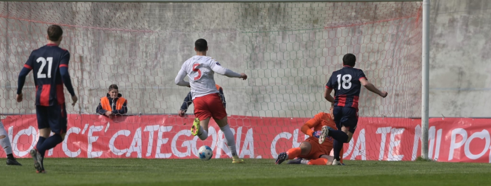 Varese, solo pari col Gozzano. Colpo Varesina