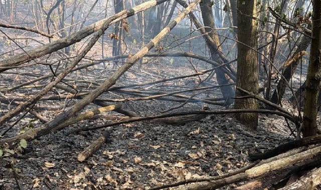 Spente le fiamme sopra il San Carlone