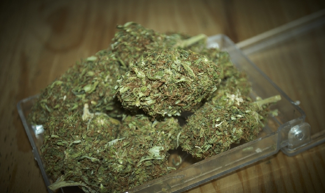 L’ingegnere con la droga in valigia: arrestato in aeroporto