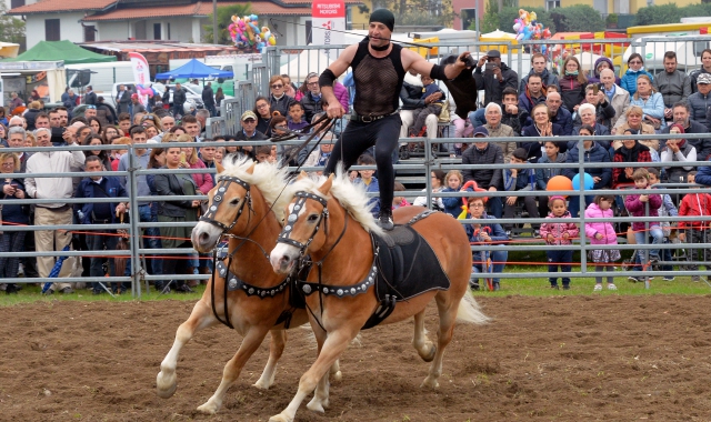 Uno spettacolo equestre all’edizione dello scorso anno