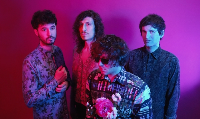 Per resistere al caos beviti una Camomilla e starai meglio