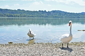 Varese: weekend baciato dal sole