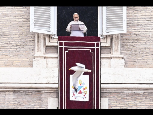 Il Papa, 'ladro chi fa la guerra, ruba un futuro di pace'