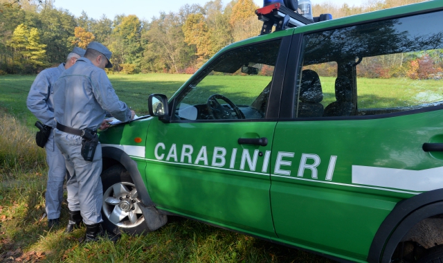 L’indagine è stata condotta dai carabinieri forestali  (foto Archivio)