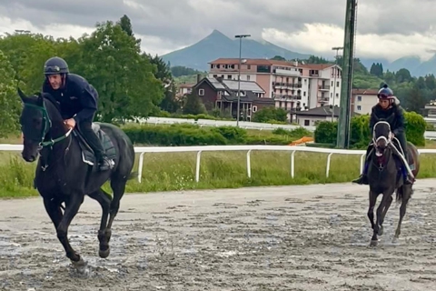 L’ippodromo e l’impasse: «Da qui non ci muoviamo»