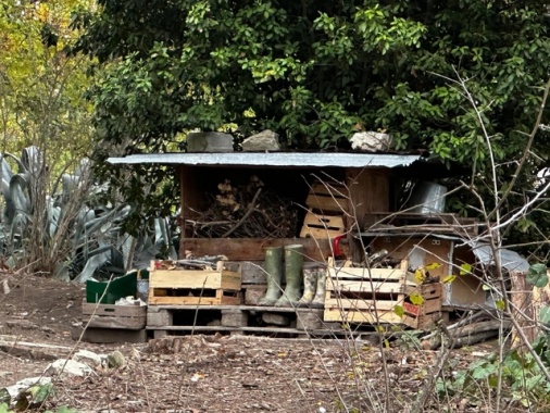 Famiglia nel bosco, gli avvocati rinunciano al mandato