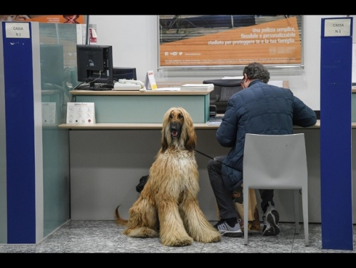 First Cisl, 7 miliardi di utili nel trimestre per le prime 5 banche