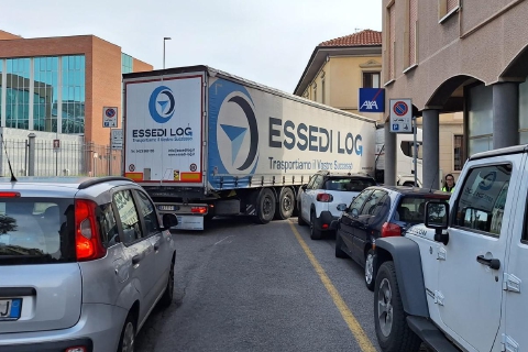 Busto: “bisonte” incastrato davanti al Tribunale