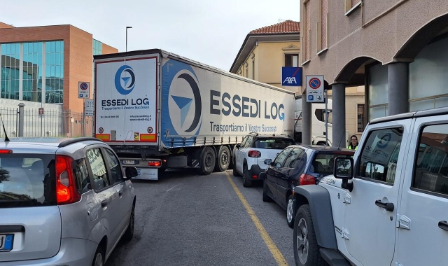 Busto: “bisonte” incastrato davanti al Tribunale