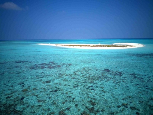 Cinque italiani morti alle Maldive durante un'immersione