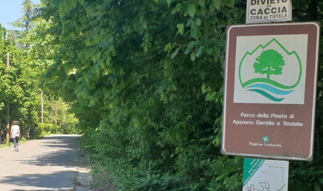Pedala nel parco, un cane lo azzanna