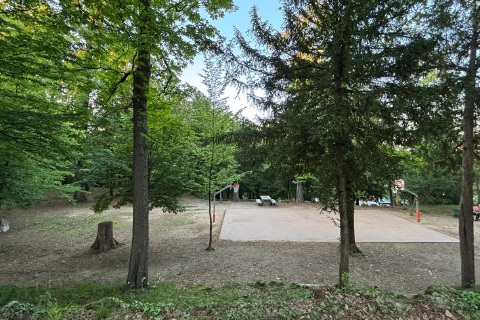 Tre ragazzini picchiati e rapinati ai Giardini Estensi