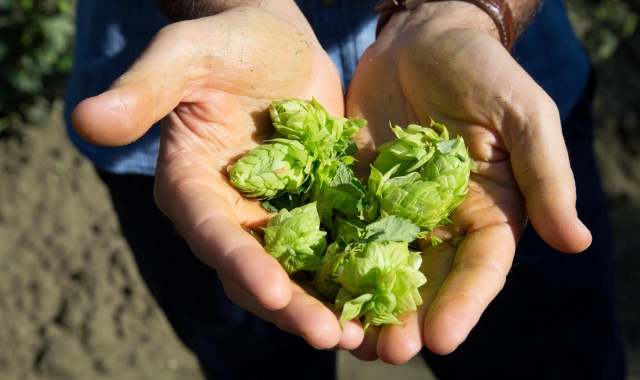Carlsberg traccia la roadmap della birra sostenibile
