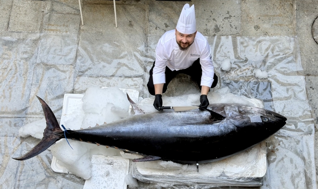 Il tonno arrivato a Busto Arsizio con lo chef Vasile Dumitroae