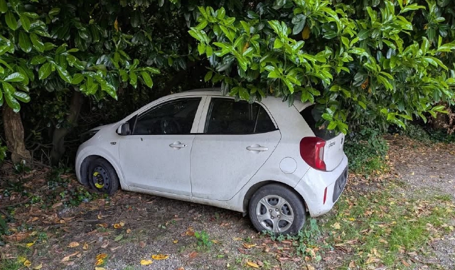 La Kia Picanto bianca che da tempo è ferma tra la vegetazione di via Villorese: è uno dei casi ricorrenti a Busto Arsizio