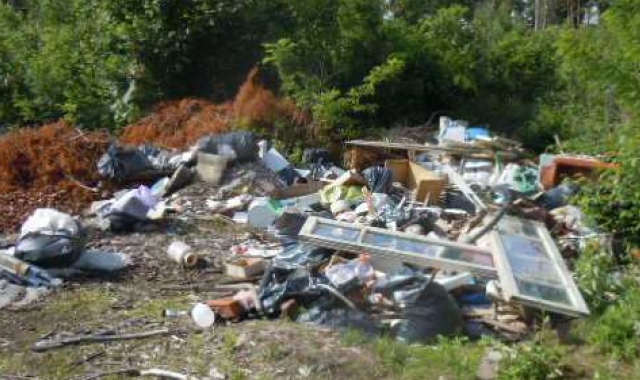 Ecco la catasta abbandonata nel Parco Pineta: gli amministratori di Tradate ribadiscono che ogni caso viene analizzato per risalire agli autori 