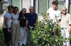 Una camelia e una carezza a Luisella