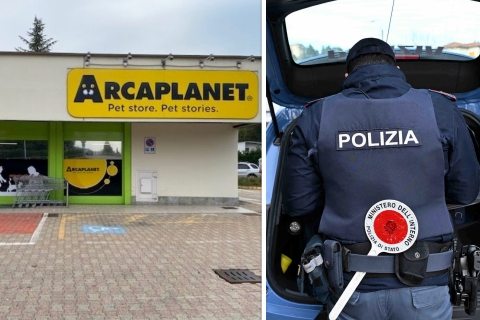 Passamontagna e pistola, rapinatori all’Arcaplanet: tre blitz a Gallarate