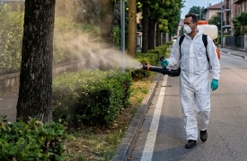 Sospetto caso di Dengue: stanotte scatta la disinfestazione straordinaria