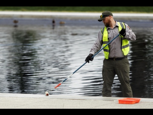 Nella Reflecting Pool ristrutturata da Trump ci sono già le alghe