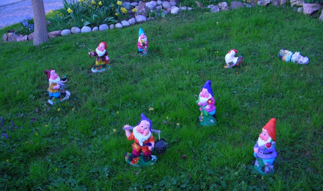 Nanetti da giardino  (foto archivio)