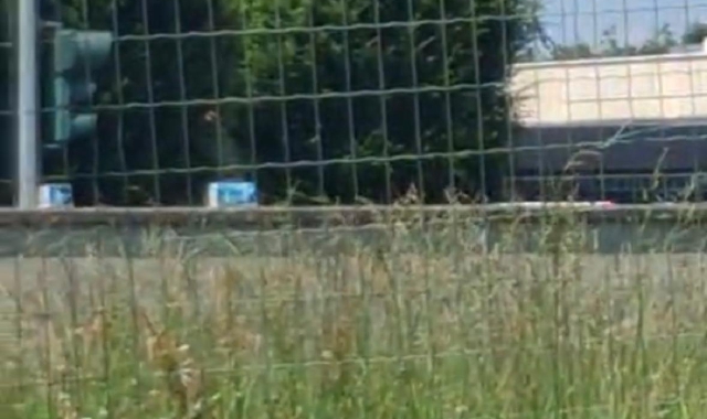 Busto Arsizio, la droga arriva dal cielo