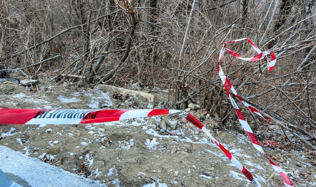Il bosco dove avvenne l’omicidio